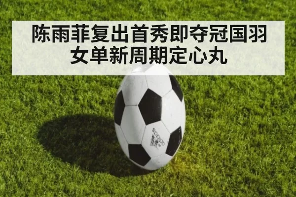 陈雨菲复出首秀即夺冠国羽女单新周期定心丸