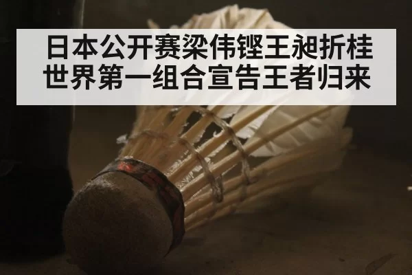 日本公开赛梁伟铿王昶折桂 世界第一组合宣告王者归来